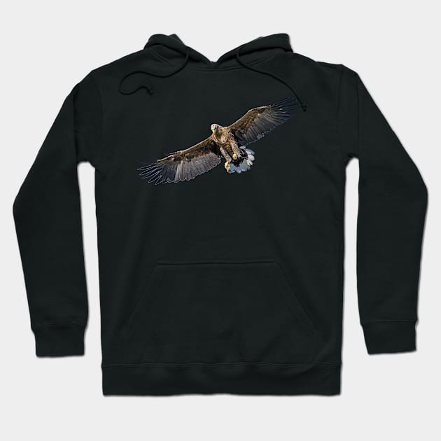 Eagle Hunt Hoodie by kawaii_shop